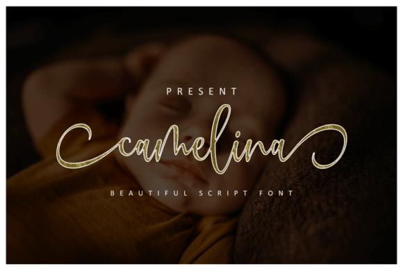 Camelina Font for Elegant Design