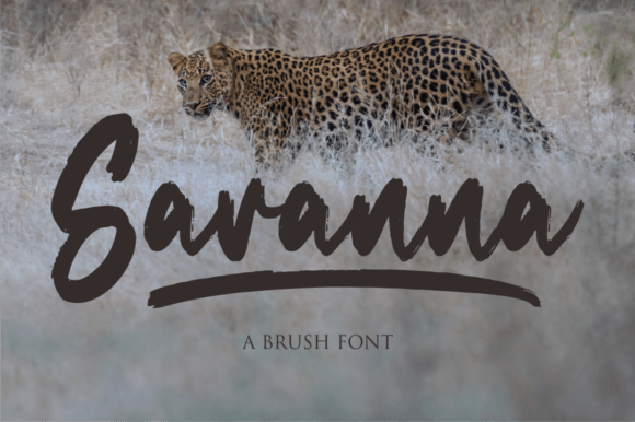 Savanna: A Script Font for Creative Makers