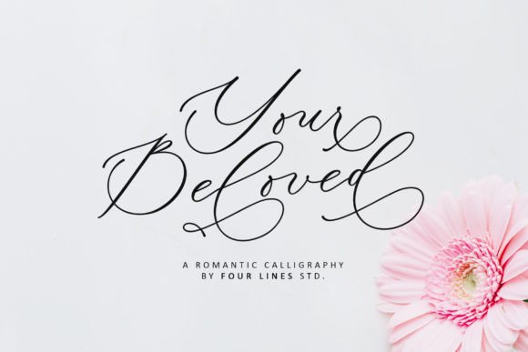Your Beloved Font: A Romantic Touch for Web Design